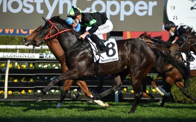 Lighting Showdown Looms