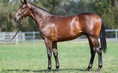 A stand-out from day one