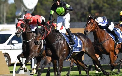 Pride And Proven – Private Eye Wins The G2 PB Lawrence Stakes