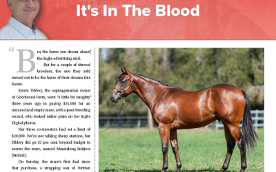 It’s In The Blood – Written By Colt