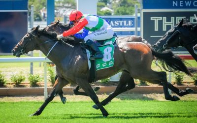 Kintyre Gets a Well Deserved Stakes Win