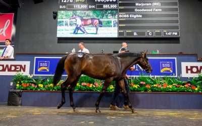 $185,000 So You Think Colt Tops MM Book 2