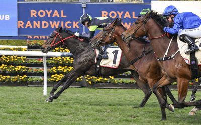 No Secret About The Ability Of Pride’s Shalaa 3YO