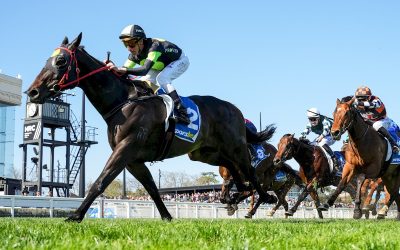 Proven Galloper Private Eye Wins G3 Moonga Stakes With Ease