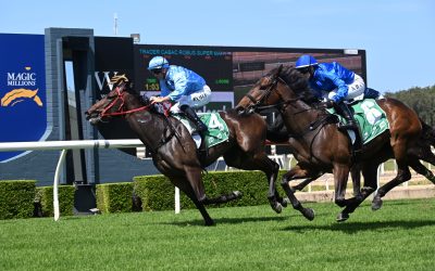 Confidentiality – One To Watch At Wyong