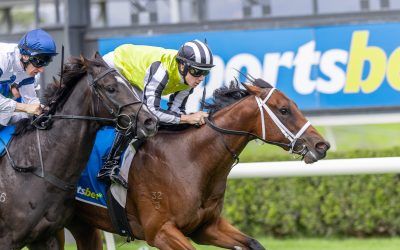 Stakes Victory for Zousain 2YO Filly