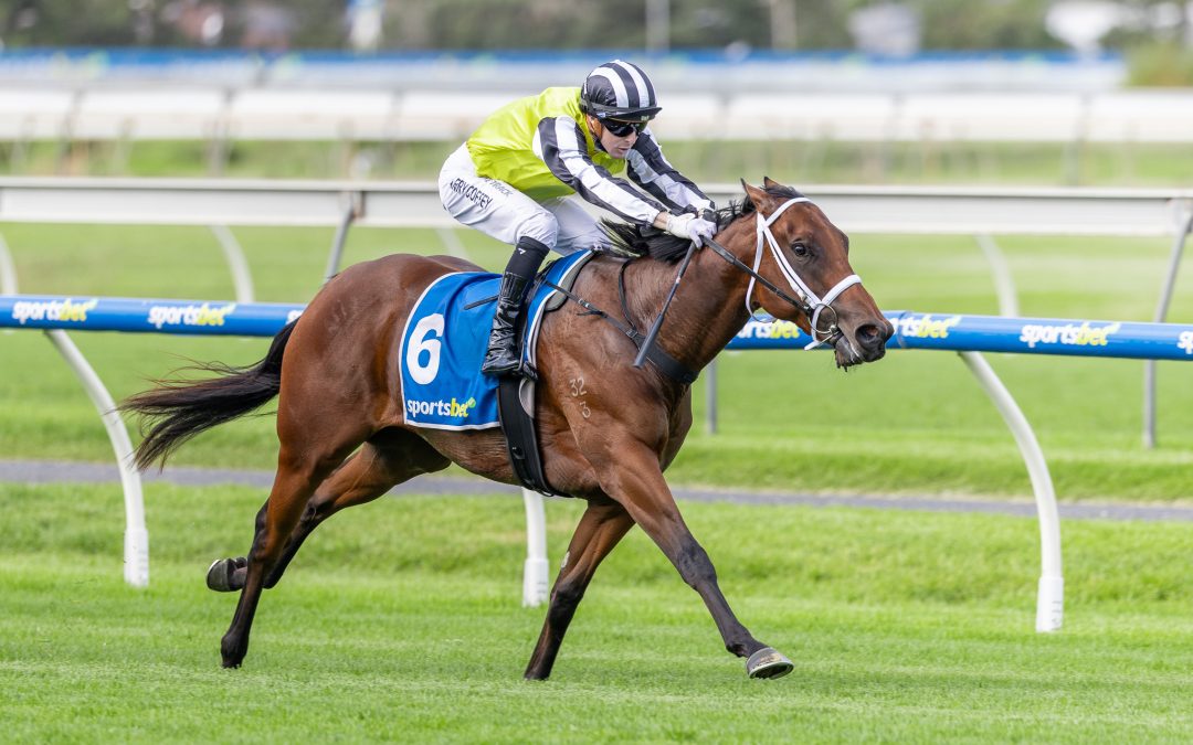 Verzain Wins G3 Breeders Stakes